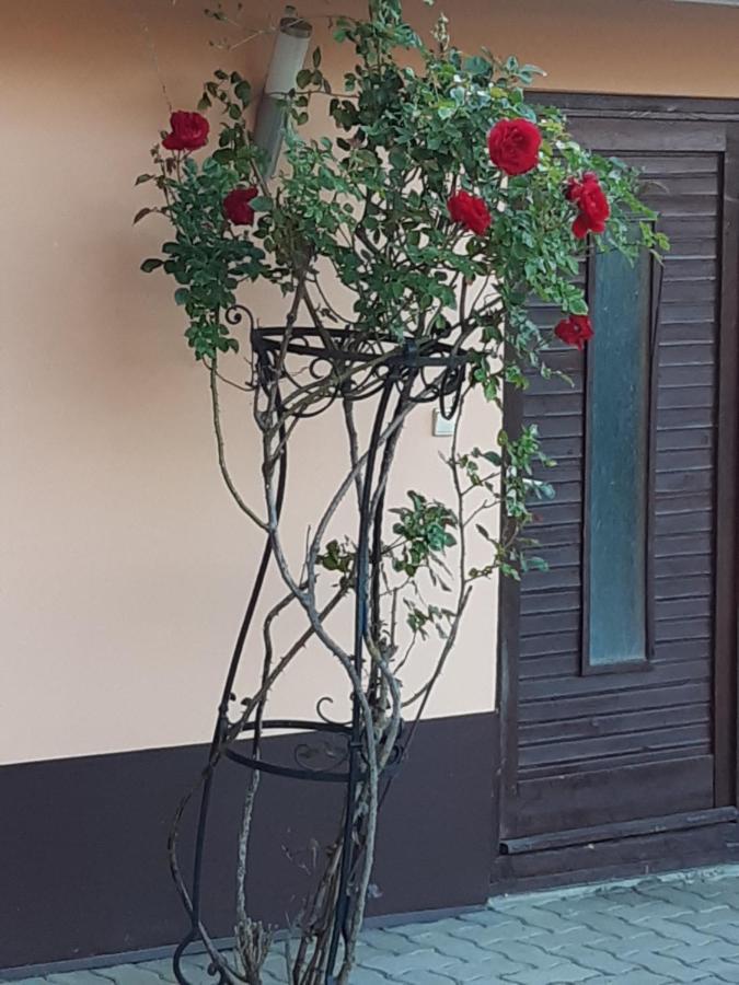 Herkules Apartman 잘라카로쉬 외부 사진